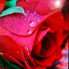 user1577736518009