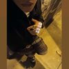 lzz_16.p