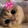 amira.de.y