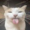 user437412823915