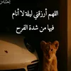 user90445337466261