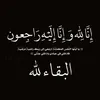 kn1ee.r57