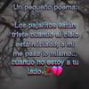 erickvillavicenci92