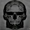 AI Videos