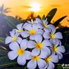eieisoe5013