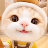 vncgh