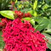tamim.hossen311