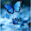 its_official_shikha1