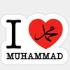 user8686291650111