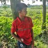 siyam.mia6191