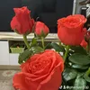 ynphmth52