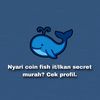 ciastorefishit