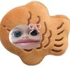 marshigi