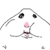 hajar_zxcvb23