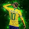 brazil.fan.1o