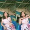 sel.gcor