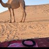 تم للخدمات