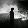 ali_12ah