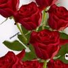user60912757768140
