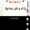 user4561032570753