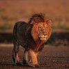 parvez.khan5679