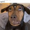 genaro.matico