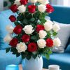 karema.hosen4