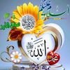 zubair.shah7865