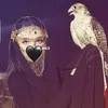 al_ms3