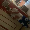lolloilmagnifico0