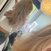 ella.hauge4