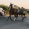 pakistanisghorarace1