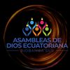 AdemirSur
