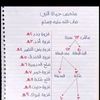 user32312128070267