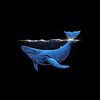 whale_story