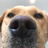 mum.reviews