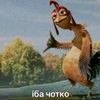 mak_suut332