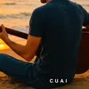 c.u.a.i.music