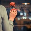 znkm777gamil.com0