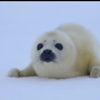 slothyyyy65