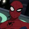 biel_spider