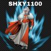 shxxy1100