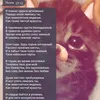 user8740921340162