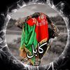 shhzadshrifi0gmail.com