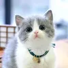 cuty46_