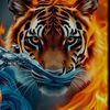 yaseenafghan681