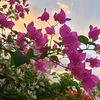 humaira.noor33