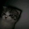 xndaaaaaaa.11