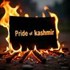 echoes_of_kashmir