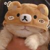 user240529624